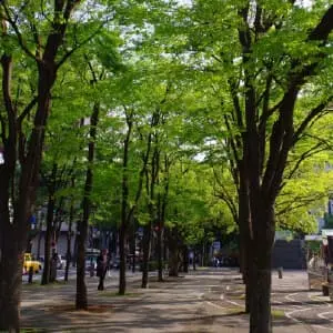 RFIDの活用例：公園・街路の樹木管理
